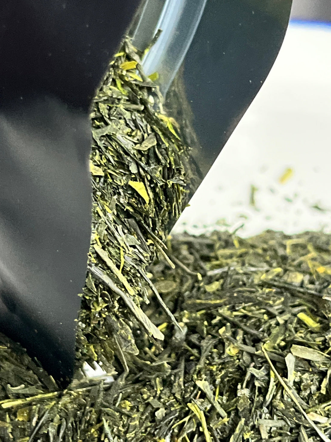Tasting Notes: The New Collection