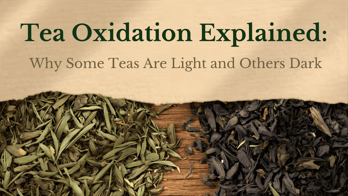 Tea Oxidation Explained: The Science Behind Light and Dark Teas ...