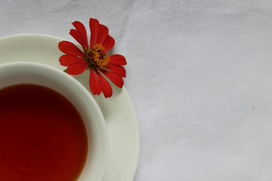 Deep red hibiscus tea in white cup with fresh red flower showing vibrant color