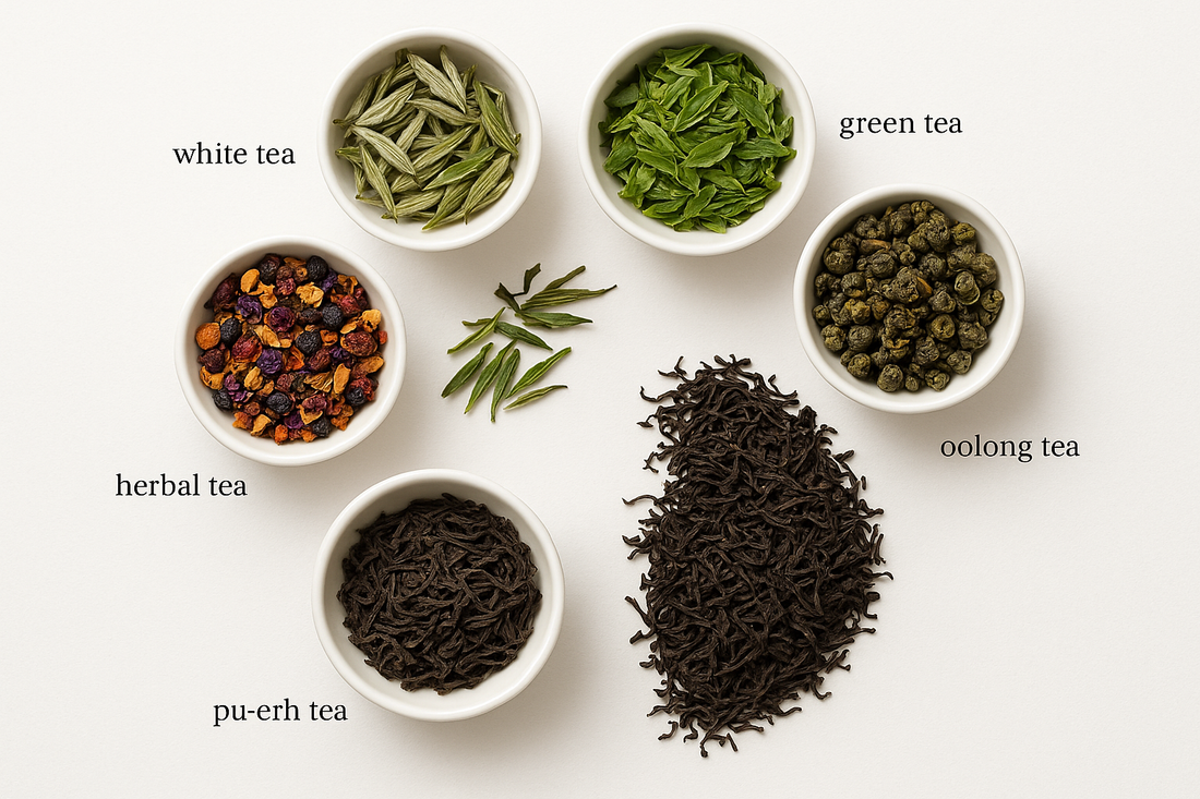 The Six Types of Tea: Understanding White, Green, Oolong, Black, Dark, and Herbal Teas